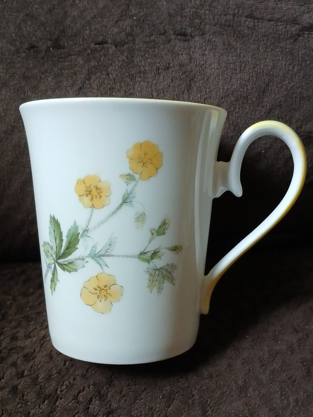 Elizabethan Staffordshire Hedgerow Fine Bone China Tea Coffee Cup England
